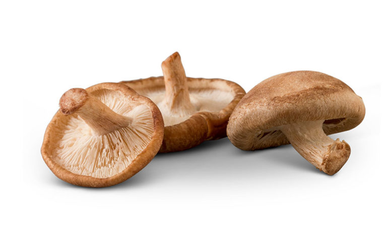 Nutritional Benefits of Mushrooms | Mushroom Council