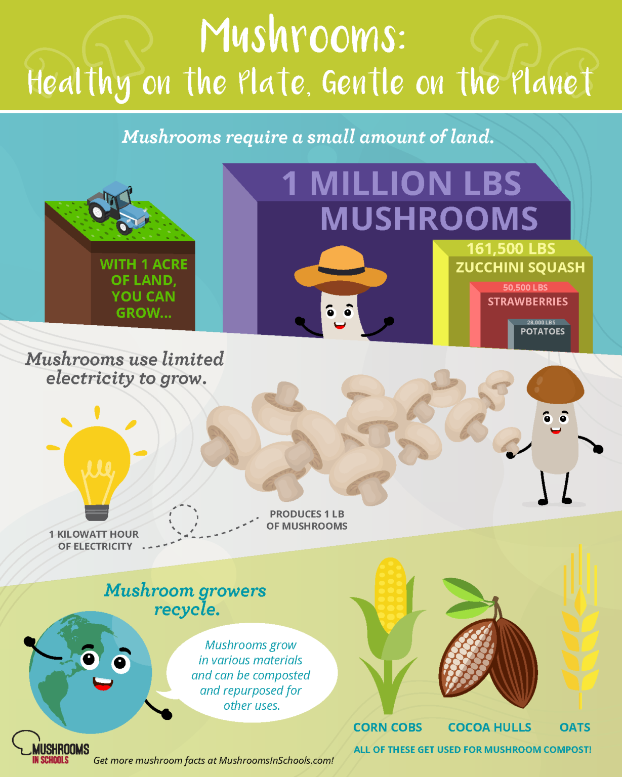 Five Fun Mushroom Facts for Kids & Educators – Mushrooms in Schools