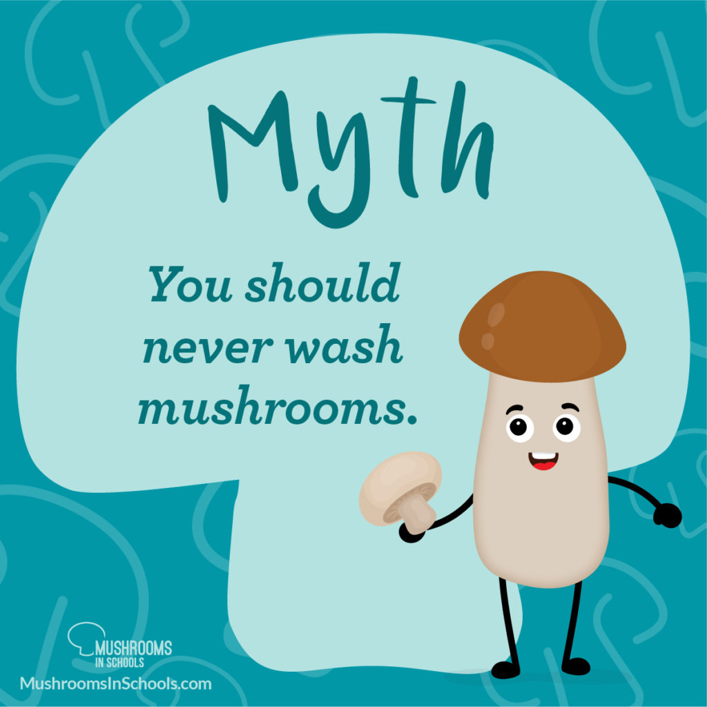 https://www.mushroomcouncil.org/wp-content/uploads/2021/06/MU-Mushroom-Myths-03-1-1024x1024.png